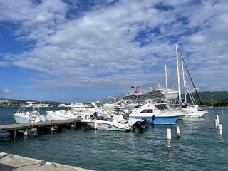 Luxury Waterfront Villa Jamaica - 7