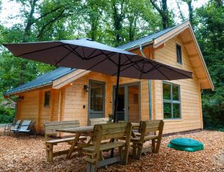 Jesse's Log Cabin - Norg - 0