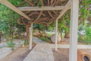 Lago Skiathos Art Residency & Guesthouse - 5