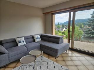 Villa Bellevue - Chez Oma - Wingen-sur-Moder - 9