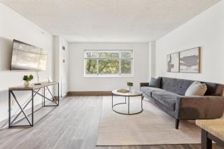 Legacy At Imperial Village 204 I 1 Bed 1 Bath - 1