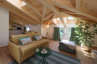 Nine Rooms Apartment - Trient - 8