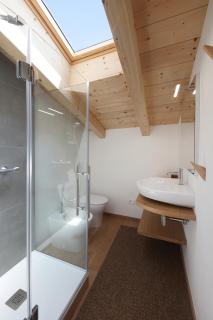 Nine Rooms Apartment - Trient - 2