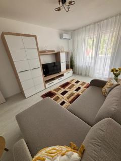 LC APARTMENTS T Vladimirescu Târgu Mureș - Târgu Mureș - 6