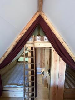 La Cabane de l'Orpailleur - Gravières - 1