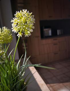 Ferienwohnung am Wald 2 - 5
