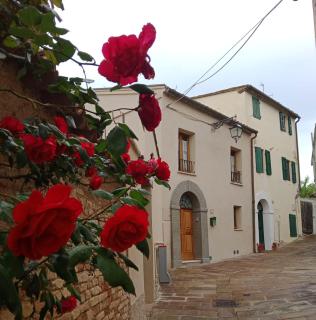 Il Pettirosso - - 7