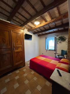 Il Pettirosso - 4