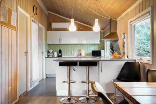 2234-Ringkobing-Lyngdraget-4 - 5