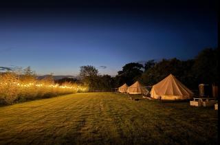 Hopgarden Glamping Exclusive glamp site hire -30 guests included in price - Wadhurst - 9