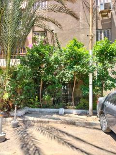 Quiet Living - Cairo - 3
