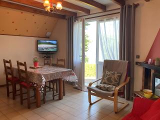 Gîte sur les flancs du Hautacam - Artalens-Souin - 4