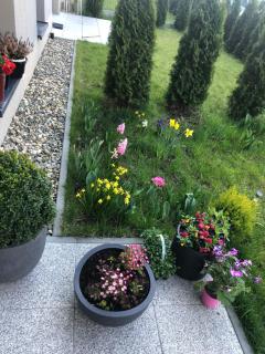 Apartament Żorska z ogródkiem - 6