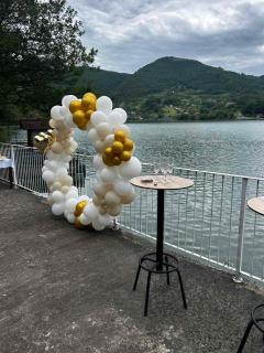 Villa Relax Zvornicko Jezero - 8