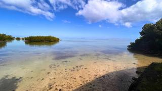 MOOREA - Bungalow Nauhei Surf Spot 2 - Haapiti - 7