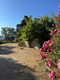 Maison Le Galino- Golfe de Saint Tropez - La Môle - 1