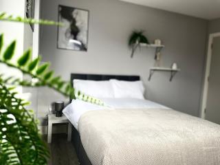 Stylish Spacious 5-Bed Duplex - 2