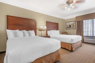 Best Western Plus Monica Royale Inn & Suites - Greenville - 8