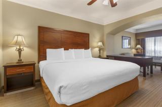 Best Western Plus Monica Royale Inn & Suites - Greenville - 5