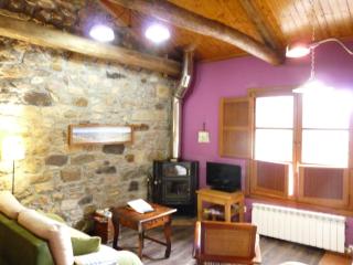 Apartamentos Rurales CASONA DE LOLO - Caunedo - 8