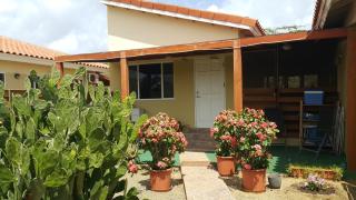 Bubali Studio - Palm-Eagle Beach - 0
