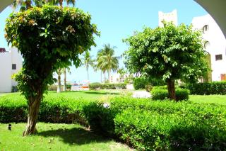 روتانا - 4