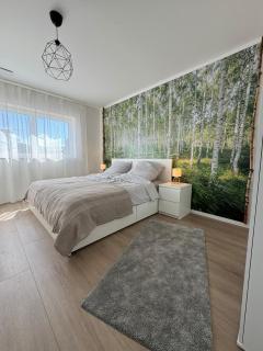 Zu Hause im Birkenwald - 0