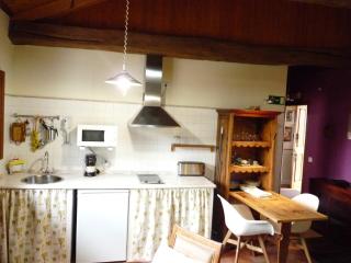 Apartamentos Rurales CASONA DE LOLO - Caunedo - 7