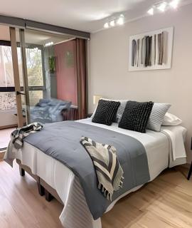 Piscina Climatizada, Vista al Volcán y WiFi - 8