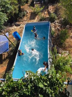 A house in the heart of a grove of oaks - 5