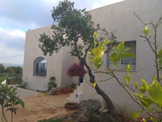 A house in the heart of a grove of oaks - 2