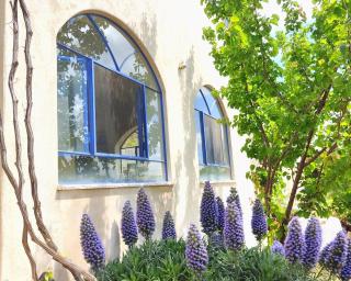 A house in the heart of a grove of oaks - 0