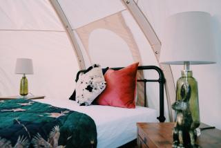 Nyland View The Paddocks Glamping - Draycott - 8