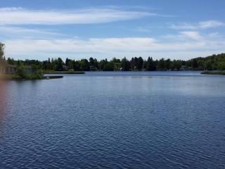 Magnificent Riverside Bright Chalet with Spa - 2