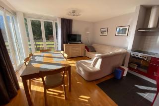Sonnalm 102 by SMR Rauris Apartments - inc Spa and near Gondola - Rauris - 7