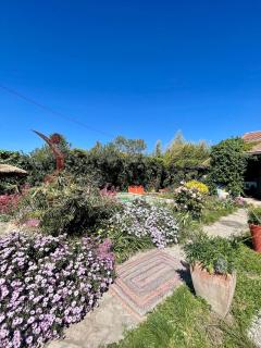 An atypical cocoon, escape to a painter's home - 6