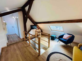 Les Toits de Thillois Hypercentre Erlon - Reims - 7