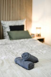 Studio Cosy Business - Balcon Garage Fermé - Lione - 6