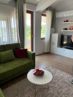 Artificial Lake View Apartament - 7