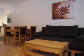 Andrea 3 by SMR Luxury Apartments inc Spa and near Gondola - Rauris - 7