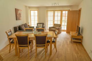 Andrea 3 by SMR Luxury Apartments inc Spa and near Gondola - Rauris - 2