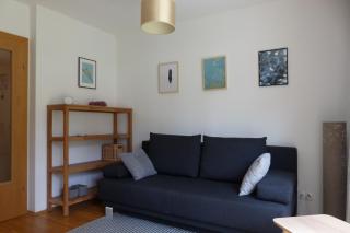 Daniela 8 by SMR Rauris Apartments - inc Spa and near Gondola - 3