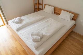 Manuela 13 by SMR Rauris Apartments - inc Spa and near Gondola - Rauris - 2