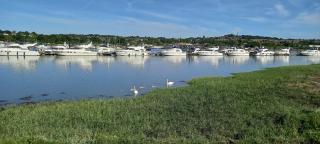 River View - Rochester - 6