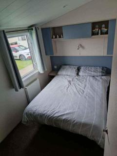 14 Atlas Ruby Cherry tree - Gristhorpe - 3