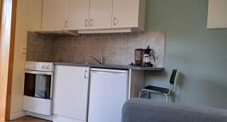 Cozy 1BR in city centre, with parking! - Sogndal - 2