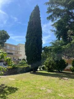 Le Grand Fournas comfort near shops - Draguignan - 6