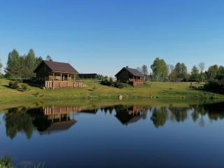 Jaučio apartamentai - Leliūnai - 7