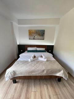 NovAS Apartment - Mavrovo - 8