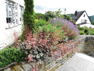 Holiday apartment Haus Burgenblick Bullay - Bullay - 1